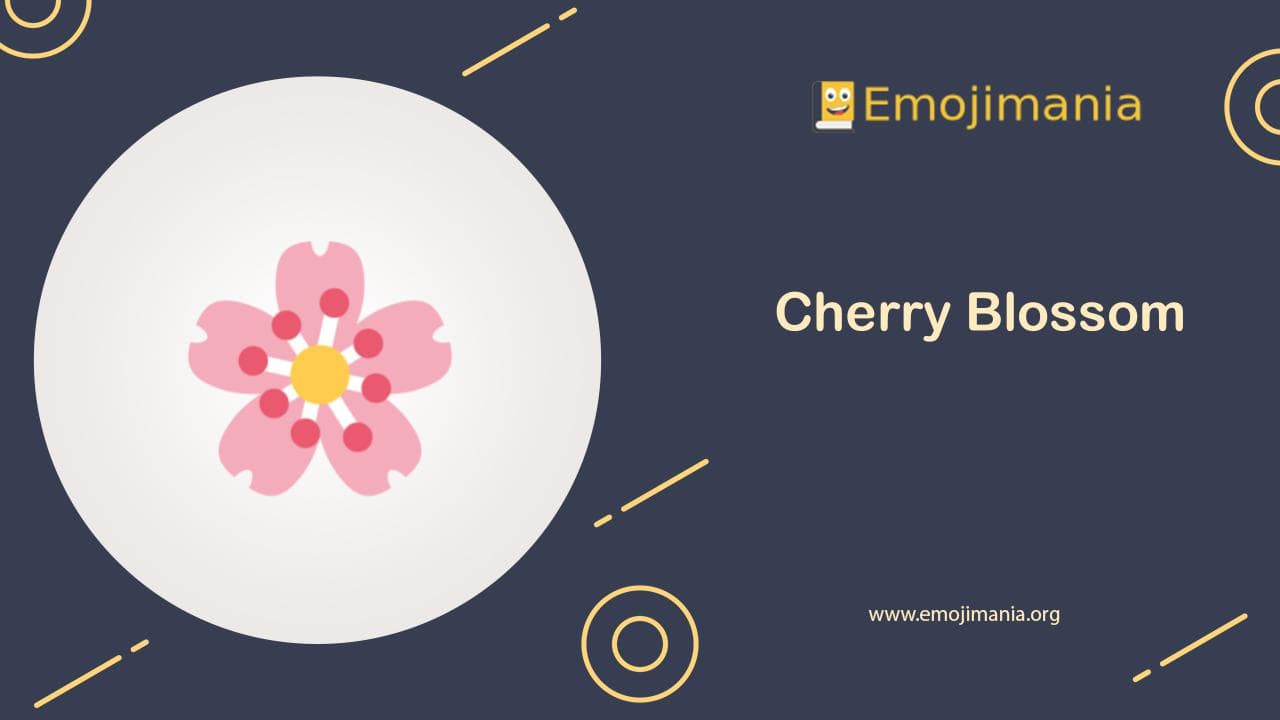 🌸 Meaning Cherry Blossom Emoji Copy and Paste