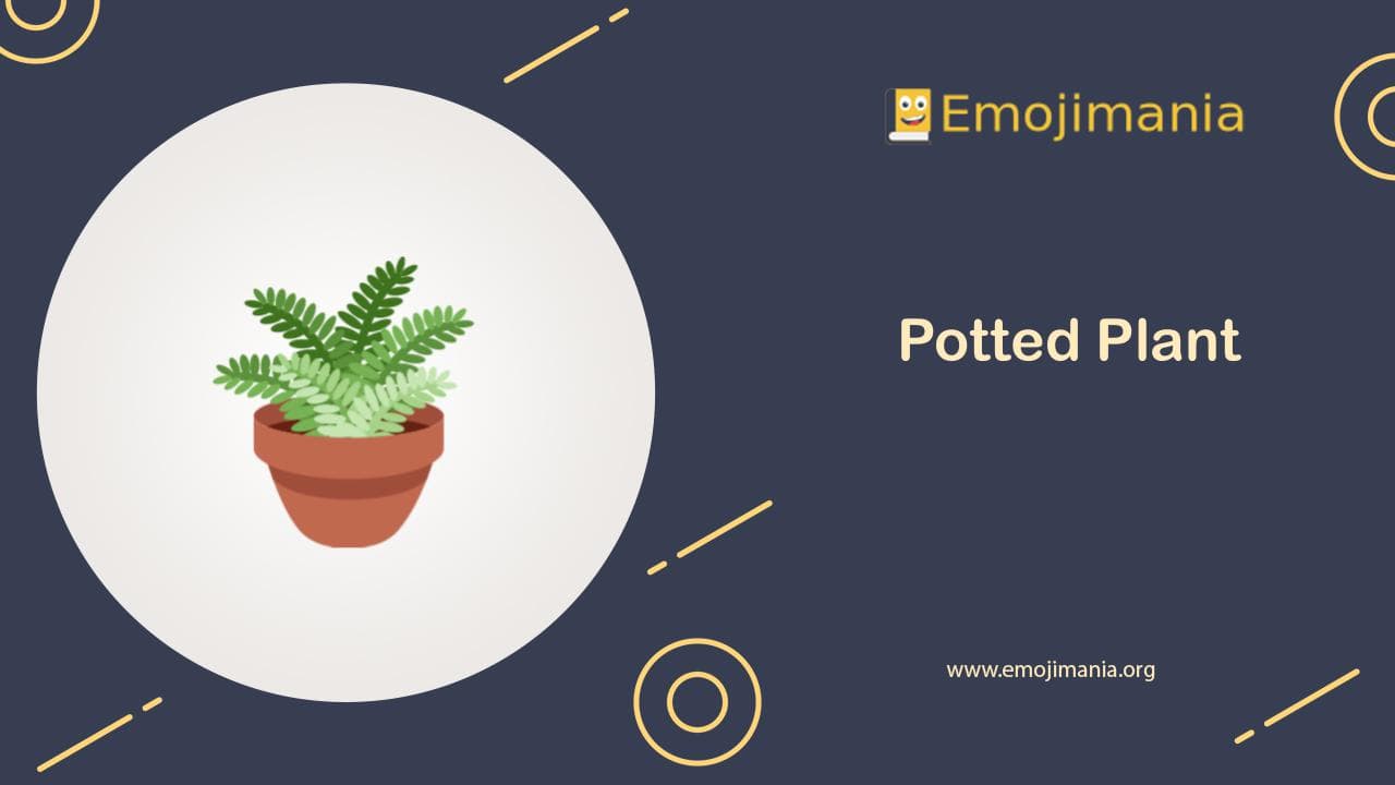 🪴 Meaning Potted Plant Emoji Copy and Paste